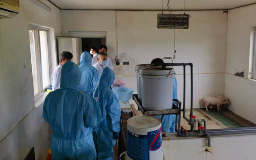 校企共建產業研究院順利通過農業農村部獸藥gcp監督檢查